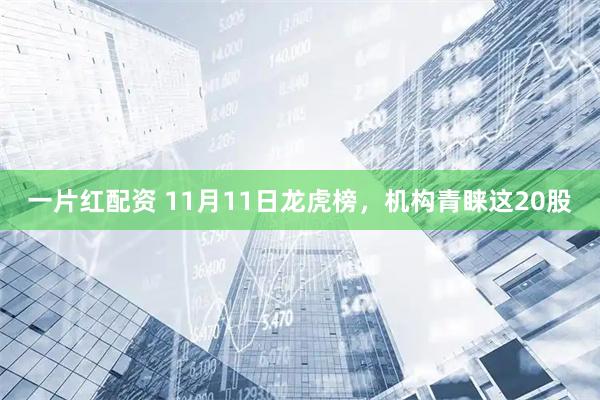 一片红配资 11月11日龙虎榜，机构青睐这20股