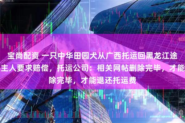 宝尚配资 一只中华田园犬从广西托运回黑龙江途中丢失，狗主人要求赔偿，托运公司：相关网帖删除完毕，才能退还托运费