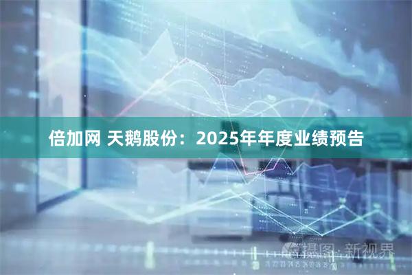 倍加网 天鹅股份：2025年年度业绩预告
