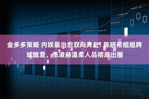 金多多策略 内娱最治愈双向奔赴! 陈妍希姐姐跨城追爱，张凌赫温柔人品彻底出圈